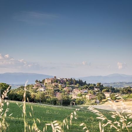 Domus In Castro Bed & Breakfast Montecchio  Dış mekan fotoğraf
