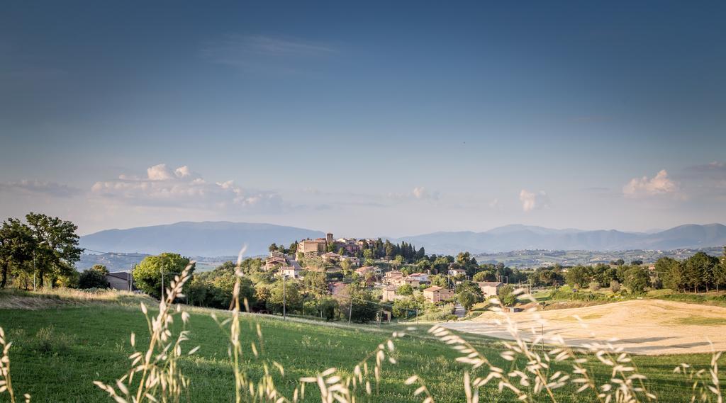 Domus In Castro Bed & Breakfast Montecchio  Dış mekan fotoğraf